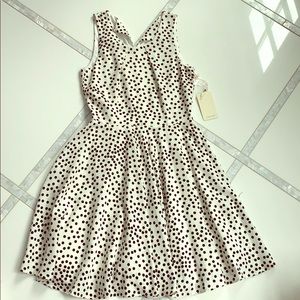 Polka dot retro A line dress. Brand new with tags.